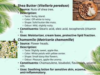 3. Shea Butter (Vitellaria paradoxa)
• Source: Nuts of shea tree.
• Description:
o Taste: Nutty, bland.
o Color: Off‑white to ivory.
o Shape: Solid butter‑like mass.
o Odour: Mild, slightly nutty.
• Constituents: Stearic acid, oleic acid, tocopherols (Vitamin
E).
• Uses: Moisturizer, cream base, protective lipid fraction.
4. Chamomile (Matricaria chamomilla)
• Source: Flower heads.
• Description:
o Taste: Slightly sweet, apple‑like.
o Color: White petals with yellow center.
o Shape: Small daisy‑like flowers.
o Odour: Pleasant, apple‑like aroma.
• Constituents: Chamazulene, bisabolol, flavonoids, volatile
oils.
• Uses: Soothing lotion for sensitive skin, eczema,
anti‑inflammatory.
 