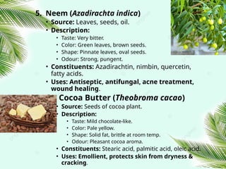 5. Neem (Azadirachta indica)
• Source: Leaves, seeds, oil.
• Description:
• Taste: Very bitter.
• Color: Green leaves, brown seeds.
• Shape: Pinnate leaves, oval seeds.
• Odour: Strong, pungent.
• Constituents: Azadirachtin, nimbin, quercetin,
fatty acids.
• Uses: Antiseptic, antifungal, acne treatment,
wound healing.
6. Cocoa Butter (Theobroma cacao)
• Source: Seeds of cocoa plant.
• Description:
• Taste: Mild chocolate‑like.
• Color: Pale yellow.
• Shape: Solid fat, brittle at room temp.
• Odour: Pleasant cocoa aroma.
• Constituents: Stearic acid, palmitic acid, oleic acid.
• Uses: Emollient, protects skin from dryness &
cracking.
 