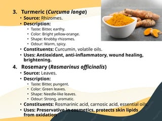 3. Turmeric (Curcuma longa)
• Source: Rhizomes.
• Description:
• Taste: Bitter, earthy.
• Color: Bright yellow‑orange.
• Shape: Knobby rhizomes.
• Odour: Warm, spicy.
• Constituents: Curcumin, volatile oils.
• Uses: Antioxidant, anti‑inflammatory, wound healing,
brightening.
4. Rosemary (Rosmarinus officinalis)
• Source: Leaves.
• Description:
• Taste: Bitter, pungent.
• Color: Green leaves.
• Shape: Needle‑like leaves.
• Odour: Strong, aromatic.
• Constituents: Rosmarinic acid, carnosic acid, essential oils.
• Uses: Preservative in cosmetics, protects skin lipids
from oxidation
 