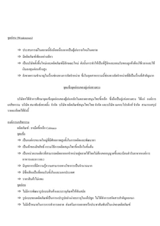 จุดออน (Weaknesses)
⇒ ประสบการณในตลาดนี้ยังนอยเนื่องจากเปนผูเลนรายใหมในตลาด
⇒ มีผลิตภัณฑเพียงอยางเดียว
⇒ เปนบริษัทตั้งขึ้นใหมและผลิตภัณฑมีลักษณะใหม ดังนั้นการทําใหเปนที่รูจักและยอมรับของลูกคาตองใชเวลาและใช
เงินลงทุนคอนขางสูง
⇒ ยังขาดความชํานาญในเรื่องชองทางการจัดจําหนาย ซึ่งในอุตสาหกรรมนี้ชองทางจัดจําหนายที่ดีเปนเรื่องที่สําคัญมาก
จุดแข็งจุดออนของคูแขงทางตรง
บริษัทฯไดทําการศึกษาจุดแข็งจุดออนของผูเลนหลักในตลาดยาสมุนไพรขี้เหล็ก ซึ่งถือเปนคูแขงทางตรง ไดแก องคการ
เภสัชกรรม บริษัท สมาพันธเทรดดิ้ง จํากัด บริษัท ผลิตภัณฑสมุนไพรไทย จํากัด และบริษัท เมกกะโปรดักส จํากัด สามารถสรุป
รายละเอียดไดดังนี้
องคการเภสัชกรรม
ผลิตภัณฑ : ยาเม็ดขี้เหล็ก Calmaco
จุดแข็ง
⇒ เปนองคกรขนาดใหญที่มีศักยภาพสูงทั้งในการผลิตและพัฒนายา
⇒ เปนเจาของลิขสิทธิ์ กรรมวิธีการผลิตสมุนไพรขี้เหล็กในขั้นตน
⇒ เปนหนวยงานเดียวที่สามารถผลิตยาออกจําหนายสูตลาดไดโดยไมตองขออนุญาตขึ้นทะเบียนตํารับยาจากองคการ
อาหารและยา (อย.)
⇒ มีบุคลากรที่มีความรูความสามารถทางวิชาการเปนจํานวนมาก
⇒ มีชื่อเสียงเปนที่ยอมรับทั้งในและนอกประเทศ
⇒ ราคาสินคาไมแพง
จุดออน
⇒ ไมมีการพัฒนารูปแบบสินคาและบรรจุภัณฑใหทันสมัย
⇒ รูปแบบของผลิตภัณฑเปนการแปรรูปอยางงายบรรจุในแค็ปซูล ไมไดทําการสกัดสารสําคัญออกมา
⇒ ไมมีเปาหมายในการการทําการตลาด สงเสริมการตลาดหรือประชาสัมพันธในแงของผลิตภัณฑ
 