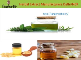Herbal Extract Manufacturers Delhi/NCR
http://tangerinebio.in/
 