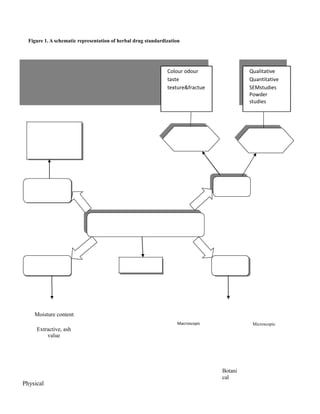 Figure 1. A schematic representation of herbal drug standardization

Colour odour
taste
texture&fractue

Qualitative
Quantitative
SEMstudies
Powder
studies

Moisture content
Extractive, ash
value

Physical

Macroscopic

Microscopic

Botani
cal

 