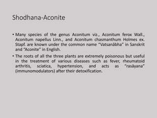 Shodhana-Aconite
• Many species of the genus Aconitum viz., Aconitum ferox Wall.,
Aconitum napellus Linn., and Aconitum chasmanthum Holmes ex.
Stapf. are known under the common name “Vatsanābha” in Sanskrit
and “Aconite” in English.
• The roots of all the three plants are extremely poisonous but useful
in the treatment of various diseases such as fever, rheumatoid
arthritis, sciatica, hypertension, and acts as “rasāyana”
(immunomodulators) after their detoxification.
 