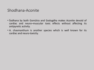 Shodhana-Aconite
• Śodhana by both Gomūtra and Godugdha makes Aconite devoid of
cardiac and neuro–muscular toxic effects without affecting its
antipyretic activity.
• A. chasmanthum is another species which is well known for its
cardiac and neuro-toxicity.
 