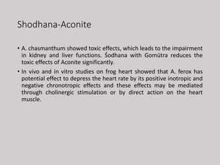 Shodhana-Aconite
• A. chasmanthum showed toxic effects, which leads to the impairment
in kidney and liver functions. Śodhana with Gomūtra reduces the
toxic effects of Aconite significantly.
• In vivo and in vitro studies on frog heart showed that A. ferox has
potential effect to depress the heart rate by its positive inotropic and
negative chronotropic effects and these effects may be mediated
through cholinergic stimulation or by direct action on the heart
muscle.
 