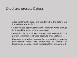 Shodhana process-Datura
• After washing, the seeds are transferred to the dolā yantra
for svedana process for 3 h.
• The seeds are again washed with lukewarm water, allowed
to dry and the seeds testa are removed.
• Reduction in total alkaloid content and increase in total
protein content of seed were observed after Śodhana.
• Complete removal of scopolamine and partial removal of
hyosciamine reflects the importance of Śodhana of
Dhattūra by means of which the toxic effects are removed
 