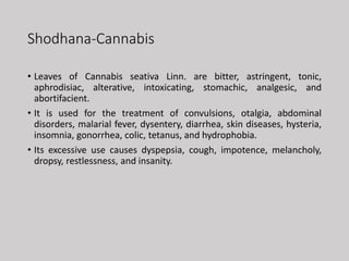 Shodhana-Cannabis
• Leaves of Cannabis seativa Linn. are bitter, astringent, tonic,
aphrodisiac, alterative, intoxicating, stomachic, analgesic, and
abortifacient.
• It is used for the treatment of convulsions, otalgia, abdominal
disorders, malarial fever, dysentery, diarrhea, skin diseases, hysteria,
insomnia, gonorrhea, colic, tetanus, and hydrophobia.
• Its excessive use causes dyspepsia, cough, impotence, melancholy,
dropsy, restlessness, and insanity.
 