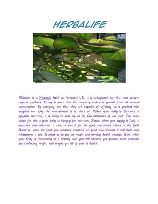 Herbalife<br />Whether it is Herbalife USA or Herbalife UK, it is recognized for their cent percent organic products. Every product that the company makes is gained from all natural constituents. By carrying out this, they are capable of offering us a product that supplies our body the nourishment it is short of. When your body is deficient in apposite nutrition, it is likely to soak up all the bad attributes of our food. The main cause for this is your body is hungry for nutrition. Hence, when you supply it food, it snatches onto whatever it can, in search for the good nutritional values in the food. However, when the food you consume contains no good nourishment, it will hold onto whatsoever it can. It leads us to put on weight and develop health troubles. Now, when your body is functioning at a healthy rate, you will observe you possess more stamina, start reducing weight, and maybe get rid of your ill health.<br />