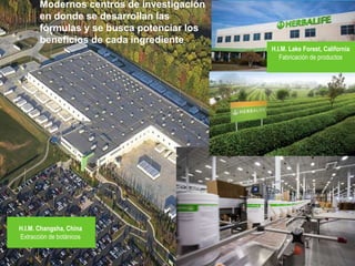 Nutricion
celular
6
Modernos centros de investigación
en donde se desarrollan las
fórmulas y se busca potenciar los
beneficios de cada ingrediente.
H.I.M. Lake Forest, California
Fabricación de productos
H.I.M. Changsha, China
Extracción de botánicos
 