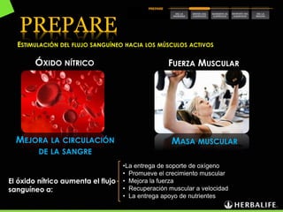 PREPARE
MASA MUSCULARMEJORA LA CIRCULACIÓN
DE LA SANGRE
FUERZA MUSCULARÓXIDO NÍTRICO
ESTIMULACIÓN DEL FLUJO SANGUÍNEO HACIA LOS MÚSCULOS ACTIVOS
•La entrega de soporte de oxígeno
• Promueve el crecimiento muscular
• Mejora la fuerza
• Recuperación muscular a velocidad
• La entrega apoyo de nutrientes
El óxido nítrico aumenta el flujo
sanguíneo a:
 