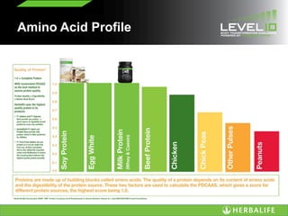 Amino Acid Profile
 