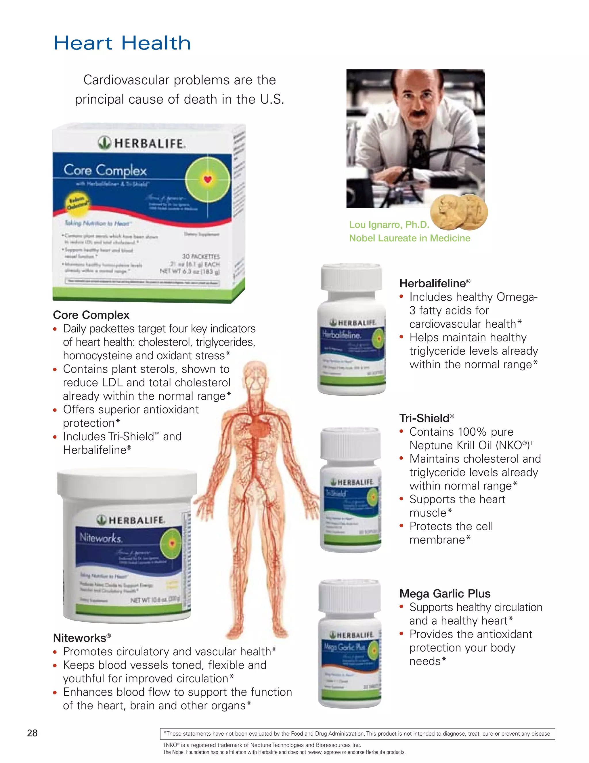 Niteworks Blood Flow Example Herbalife presentation | PDF