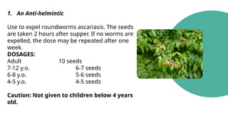 1. An Anti-helmintic
Use to expel roundworms ascariasis. The seeds
are taken 2 hours after supper. If no worms are
expelled, the dose may be repeated after one
week.
DOSAGES:
Adult 10 seeds
7-12 y.o. 6-7 seeds
6-8 y.o. 5-6 seeds
4-5 y.o. 4-5 seeds
Caution: Not given to children below 4 years
old.
 