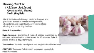 Bawang/Garlic
(Allium Sativum)
Ajos (Spanish, Bisaya)
Garlic (English)
Garlic inhibits and destroys bacteria, fungus, and
parasites, as well as lowers blood pressure,
cholesterol, and sugar levels, preventing blood
clotting and protecting the liver
Uses & Preparation:
Hypertension – Maybe fried, roasted, soaked in vinegar for 30
minutes, or blanched in boiled water for 15 minutes. Take 2
pieces 3 times a day after meals.
Toothache – Pound a small piece and apply to the affected area
CAUTION: Take on a full stomach to prevent stomach &
intestinal ulcers.
 