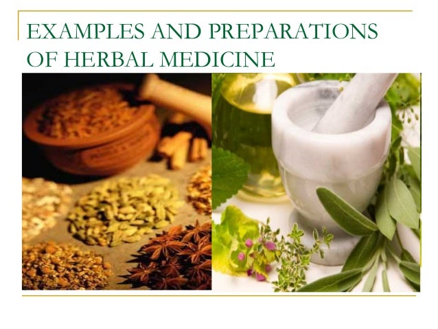 argumentative essay on herbal medicine