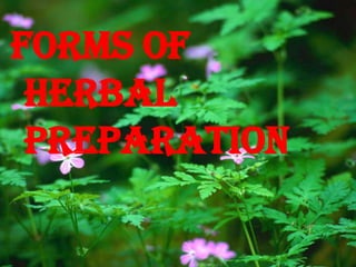 FORMS OF HERBAL PREPARATION 