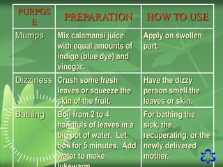 11
PURPOS
E
PREPARATION HOW TO USE
Mumps Mix calamansi juice
with equal amounts of
indigo (blue dye) and
vinegar.
Apply on swollen
part.
Dizziness Crush some fresh
leaves or squeeze the
skin of the fruit.
Have the dizzy
person smell the
leaves or skin.
Bathing Boil from 2 to 4
handfuls of leaves in a
big pot of water. Let
boil for 5 minutes. Add
water to make
For bathing the
sick, the
recuperating, or the
newly delivered
mother.
 