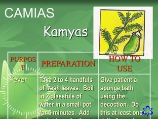 14
PURPOS
E
PREPARATION
HOW TO
USE
Fever Take 2 to 4 handfuls
of fresh leaves. Boil
in 2 glassfuls of
water in a small pot
for 5 minutes. Add
Give patient a
sponge bath
using the
decoction. Do
this at least once
Kamyas
CAMIAS
 