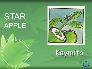 15
STAR
APPLE
Kaymito
 