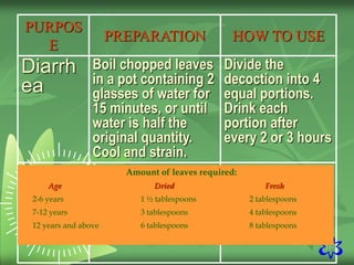 16
PURPOS
E
PREPARATION HOW TO USE
Diarrh
ea
Boil chopped leaves
in a pot containing 2
glasses of water for
15 minutes, or until
water is half the
original quantity.
Cool and strain.
Divide the
decoction into 4
equal portions.
Drink each
portion after
every 2 or 3 hours
Amount of leaves required:
Age Dried Fresh
2-6 years 1 ½ tablespoons 2 tablespoons
7-12 years 3 tablespoons 4 tablespoons
12 years and above 6 tablespoons 8 tablespoons
 