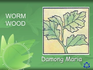 17
WORM
WOOD
Damong Maria
 