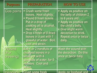 18
Purposes PREPARATION HOW TO USE
Gas pains  Crush some fresh
leaves. Heat slightly.
 Pound 8 fresh leaves.
Put in a drop of
cooking oil is alcohol.
Heat slightly.
 Drop 4 fresh of 8 dried
leaves in a pot with 1
glassful of water. Boil,
cool and strain.
 Apply as poultice on
the belly of children 2
to 6 years old.
 Apply as poultice on
the child’s belly.
 Give slight warm
decoction to drink.
Repeat once or twice
daily.
Wound
(For
dressing)
Boil 1 or 2 handfuls of
chopped leaves in a
small pot with 4
glassfuls of water, for 5
minutes. Cool and
strain.
Wash the wound with
the decoction. Do this
once or twice daily.
 