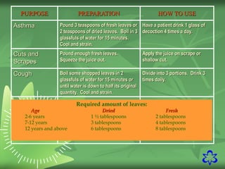 20
PURPOSE PREPARATION HOW TO USE
Asthma Pound 3 teaspoons of fresh leaves or
2 teaspoons of dried leaves. Boil in 3
glassfuls of water for 15 minutes.
Cool and strain.
Have a patient drink 1 glass of
decoction 4 times a day.
Cuts and
Scrapes
Pound enough fresh leaves.
Squeeze the juice out.
Apply the juice on scrape or
shallow cut.
Cough Boil some shopped leaves in 2
glassfuls of water for 15 minutes or
until water is down to half its original
quantity. Cool and strain.
Divide into 3 portions. Drink 3
times daily.
Required amount of leaves:
Age Dried Fresh
2-6 years 1 ½ tablespoons 2 tablespoons
7-12 years 3 tablespoons 4 tablespoons
12 years and above 6 tablespoons 8 tablespoons
 