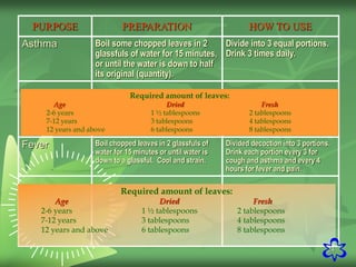 24
PURPOSE PREPARATION HOW TO USE
Asthma Boil some chopped leaves in 2
glassfuls of water for 15 minutes,
or until the water is down to half
its original (quantity).
Divide into 3 equal portions.
Drink 3 times daily.
Fever Boil chopped leaves in 2 glassfuls of
water for 15 minutes or until water is
down to a glassful. Cool and strain.
Divided decoction into 3 portions.
Drink each portion every 3 for
cough and asthma and every 4
hours for fever and pain.
Required amount of leaves:
Age Dried Fresh
2-6 years 1 ½ tablespoons 2 tablespoons
7-12 years 3 tablespoons 4 tablespoons
12 years and above 6 tablespoons 8 tablespoons
Required amount of leaves:
Age Dried Fresh
2-6 years 1 ½ tablespoons 2 tablespoons
7-12 years 3 tablespoons 4 tablespoons
12 years and above 6 tablespoons 8 tablespoons
 