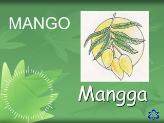 27
MANGO
Mangga
 