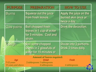 32
PURPOSE PREPARATION HOW TO USE
Burns Squeeze out the juice
from fresh leaves.
Apply the juice on the
burned skin once or
twice a day.
Gas pains Boil chopped fresh
leaves in 1 cup of water
for 5 minutes. Cool and
strain.
Drink the decoction.
Cough Boil some chopped
leaves in 2 glassfuls of
water for 15 minutes or
until water is down to
half its original quantity.
Cool and strain.
Divide into 3 portions.
Drink 3 times daily.
Amount of leaves required:
Age Dried Fresh
7-12 years 2 tablespoons 3 tablespoons
13 years and above 4 tablespoons 6 tablespoons
 