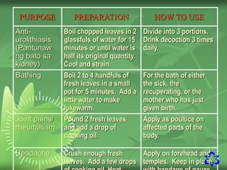 35
PURPOSE PREPARATION HOW TO USE
Anti-
urolithiasis
(Pantunaw
ng bato sa
kidney)
Boil chopped leaves in 2
glassfuls of water for 15
minutes or until water is
half its original quantity.
Cool and strain.
Divide into 3 portions.
Drink decoction 3 times
daily.
Bathing Boil 2 to 4 handfuls of
fresh leaves in a small
pot for 5 minutes. Add a
little water to make
lukewarm.
For the bath of either
the sick, the
recuperating, or the
mother who has just
given birth.
Joint pains/
rheumatism
Pound 2 fresh leaves
and add a drop of
cooking oil.
Apply as poultice on
affected parts of the
body.
Headache Crush enough fresh
leaves. Add a few drops
Apply on forehead and
temples. Keep in place
 