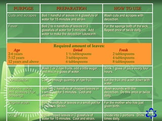 37
PURPOSE PREPARATION HOW TO USE
Cuts and scrapes Boil 1 handful of leaves in 4 glassfuls of
water for 15 minutes and strain.
Wash cuts and scrapes with
decoction.
Fever Boil 2 to 4 handfuls of leaves in 3
glassfuls of water for 5 minutes. Add
water to make the decoction lukewarm.
For the sponge bath of the sick.
Repeat once of twice daily.
Mash 1 or 2 ripe fruits, add a little sugar,
and mix in a glass of water.
Drink 1 glass of juice every four
hours.
Constipation Collect enough quantity of ripe fruit. Eat the fruit and wash down with
water.
Wounds, sores
and scabies (For
dressing)
Boil 1 to 2 handfuls of chopped leaves in
a small pot for 5 minutes. Cool and
strain.
Wash wounds with the
decoction. Do this once or twice
daily.
Vaginal wash Boil 2 handfuls of leaves in a small pot for
5 minutes. Strain.
For the mother who has just
given birth.
Cough Boil chopped leaves in 2 glassfuls of
water for 15 minutes. Cool and strain.
Divide into 3 portions. Drink 3
times daily.
Required amount of leaves:
Age Dried Fresh
2-6 years 1 ½ tablespoons 2 tablespoons
7-12 years 3 tablespoons 4 tablespoons
12 years and above 6 tablespoons 8 tablespoons
 
