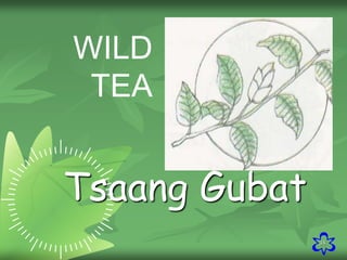 38
Tsaang Gubat
WILD
TEA
 