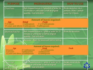 39
PURPOSE PREPARATION HOW TO USE
Diarrhea Boil chopped leaves in 2-glassfuls of water for
15 minutes or until water is half its original
quantity. Cool and strain.
Divide decoction into 4
portions. Drink 1 portion
every 2 or 3 hours.
Stomachache Boil chopped leaves in 1 glass of water for 15
minutes or until water is half its original
quantity. Cool and strain.
Drink the decoction.
Reminder: Wash the leaves well before boiling.
Fluoride/
calcium for
strong teeth
Boil chopped leaves in 1 glass of water for 15
minutes or until water is half its original
quantity. Cool and strain.
Gargle and drink the
decoction.
Amount of leaves required :
Age Dried Fresh
7-12 years 1 tablespoon 1 1/2 tablespoons
13 years and above 2 tablespoons 3 tablespoons
Amount of leaves required :
Age Dried Fresh
2-6 years 2 ½ tablespoons 2 ½ tablespoons
7-12 years 5 tablespoons 5 tablespoons
12 years and above 10 tablespoons 12 tablespoons
 