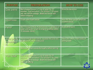41
PURPOSE PREPARATION HOW TO USE
Gas pains Boil chopped leaves in 1 cup of water for 15
minutes. Cool and strain. For children 7-12 years
old, use half the dosage. Wash the leaves well
before chopping.
Drink the decoction.
Dizziness Crush some fresh leaves. Have the dizzy person smell the
crushed leaves.
Fever Boil 15 teaspoonfuls of died leaves in 3 glassfuls of
water until water is half its original quantity (about
15 minutes). Strain.
Drink while warm.
Joint pains/
rheumatis
m
Pound enough fresh leaves, squeeze the juice out.
Wet piece of cotton in the juice.
Insert the cotton in the cavity of
aching tooth.
Reminder: Wash leaves thoroughly before boiling.
Pain killer Boil chopped leaves in 1 cup of water for 15
minutes. Cool and strain. For children 7-12 years
old, use half the dosage. Wash the leaves well
before chopping.
 