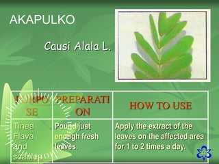 44
PURPO
SE
PREPARATI
ON
HOW TO USE
Tinea
Flava
and
scabies
Pound just
enough fresh
leaves.
Apply the extract of the
leaves on the affected area
for 1 to 2 times a day.
AKAPULKO
Causi Alala L.
 