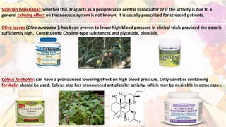 Valerian (Valeriana): whether this drug acts as a peripheral or central vasodilator or if the activity is due to a
general calming effect on the nervous system is not known. It is usually prescribed for stressed patients.
Olive leaves (Olea europaea ): has been proven to lower high blood pressure in clinical trials provided the dose is
sufficiently high. Constituents: Choline-type substances and glycoside, oleoside.
Coleus forskohlii: can have a pronounced lowering effect on high blood pressure. Only varieties containing
forskolin should be used. Coleus also has pronounced antiplatelet activity, which may be desirable in some cases.
 