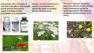 Cramp bark ( Viburnum opulus ):
this herb is thought to relax smooth
muscle and has been used to
augment antihypertensive
prescriptions as a vasorelaxant.
Yarrow ( Achillea millefolium ): is
used by some herbalists to
specifically; lower an elevated
diastolic blood pressure.
Taraxacum officinale (dandelion
leaves) has diuretic activity and high
levels of potassium and can be
useful especially for the treatment
of elevated systolic pressure in the
elderly.
 