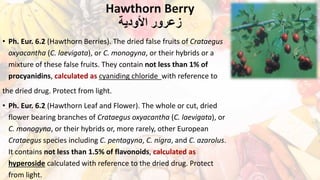 Hawthorn Berry
‫األودية‬ ‫زعرور‬
• Ph. Eur. 6.2 (Hawthorn Berries). The dried false fruits of Crataegus
oxyacantha (C. laevigata), or C. monogyna, or their hybrids or a
mixture of these false fruits. They contain not less than 1% of
procyanidins, calculated as cyaniding chloride with reference to
the dried drug. Protect from light.
• Ph. Eur. 6.2 (Hawthorn Leaf and Flower). The whole or cut, dried
flower bearing branches of Crataegus oxyacantha (C. laevigata), or
C. monogyna, or their hybrids or, more rarely, other European
Crataegus species including C. pentagyna, C. nigra, and C. azarolus.
It contains not less than 1.5% of flavonoids, calculated as
hyperoside calculated with reference to the dried drug. Protect
from light.
 
