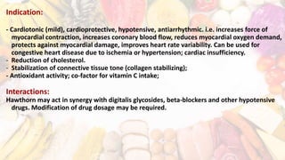 Indication:
- Cardiotonic (mild), cardioprotective, hypotensive, antiarrhythmic. i.e. increases force of
myocardial contraction, increases coronary blood flow, reduces myocardial oxygen demand,
protects against myocardial damage, improves heart rate variability. Can be used for
congestive heart disease due to ischemia or hypertension; cardiac insufficiency.
- Reduction of cholesterol.
- Stabilization of connective tissue tone (collagen stabilizing);
- Antioxidant activity; co-factor for vitamin C intake;
Interactions:
Hawthorn may act in synergy with digitalis glycosides, beta-blockers and other hypotensive
drugs. Modification of drug dosage may be required.
 