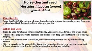 Horse-chestnut seed
(Aesculus hippocastanum)
‫الحصان‬ ‫كستناء‬
• Constituents:
• Saponins (3- 6%) (the mixture of saponins collectively referred to as escin; α- and -escin as
major glycosides), Coumarins, flavonoids and tannins.
• Action and uses:
- It can be used for chronic venous insufficiency, varicose veins, edema of the lower limbs.
• - It is used as prophylactic to decrease the incidence of deep venous thrombosis following
surgery.
• - Topically for hematoma, contusions, non-penetrating wounds and injuries involving
edema.
- Skin care products: for normal skin, baby skin, sensitive skin; to tone the skin; as an anti-
inflammatory; to treat fragile capillaries, pimples, sunburn or cellulite.
 