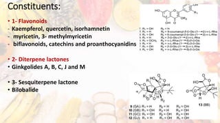Constituents:
• 1- Flavonoids
- Kaempferol, quercetin, isorhamnetin
- myricetin, 3- methylmyricetin
- biflavonoids, catechins and proanthocyanidins
• 2- Diterpene lactones
• Ginkgolides A, B, C, J and M
• 3- Sesquiterpene lactone
• Bilobalide
 