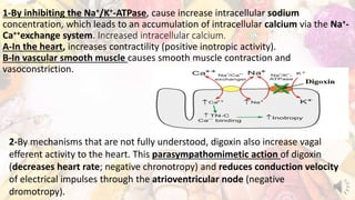 1-By inhibiting the Na+/K+-ATPase, cause increase intracellular sodium
concentration, which leads to an accumulation of intracellular calcium via the Na+-
Ca++exchange system. Increased intracellular calcium.
A-In the heart, increases contractility (positive inotropic activity).
B-In vascular smooth muscle causes smooth muscle contraction and
vasoconstriction.
2-By mechanisms that are not fully understood, digoxin also increase vagal
efferent activity to the heart. This parasympathomimetic action of digoxin
(decreases heart rate; negative chronotropy) and reduces conduction velocity
of electrical impulses through the atrioventricular node (negative
dromotropy).
 