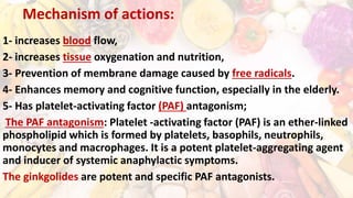 Mechanism of actions:
1- increases blood flow,
2- increases tissue oxygenation and nutrition,
3- Prevention of membrane damage caused by free radicals.
4- Enhances memory and cognitive function, especially in the elderly.
5- Has platelet-activating factor (PAF) antagonism;
The PAF antagonism: Platelet -activating factor (PAF) is an ether-linked
phospholipid which is formed by platelets, basophils, neutrophils,
monocytes and macrophages. It is a potent platelet-aggregating agent
and inducer of systemic anaphylactic symptoms.
The ginkgolides are potent and specific PAF antagonists.
 