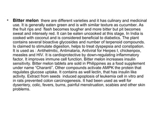 Bitter melon   there are different varieties and it has culinary and medicinal use. It is generally eaten green and is with similar texture as cucumber. As the fruit rips and  flash becomes tougher and more bitter but pit becomes sweat and intensely red. It can be eaten uncooked at this stage. In India is cooked with coconut and is considered beneficial to diabetics. The plant contains several bioactive glycosides and number of terpenoid compounds. Is claimed to stimulate digestion, helps to treat dyspepsia and constipation. It is used as : Antihelmitic, Antimalaria, Antiviral for Herpes I, chickenpox, measles and HIV. It is cardioprotective by down-regulating inflammatory factor. It improves immune cell function. Bitter melon increases insulin sensitivity. Bitter melon tablets are sold in Philippines as a food supplement under name “Charanti”. Other compounds activate AMPK the protein that regulates glucose uptake. It contains as well lectin, that has insulin like activity. Extract from seeds  induced apoptosis of leukemia cell in vitro and in rats prevented colon carcinogenesis. It had been used as well for dysentery, colic, fevers, burns, painful menstruation, scabies and other skin problems. 