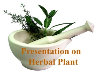 Presentation on
Herbal Plant
 