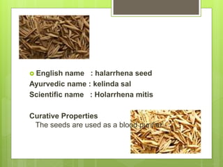  English name : halarrhena seed
Ayurvedic name : kelinda sal
Scientific name : Holarrhena mitis
Curative Properties
The seeds are used as a blood purifier.
 