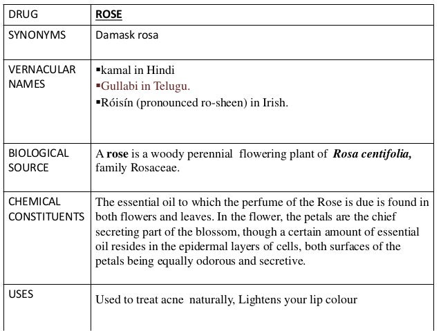 Herbal Products For Skin Care