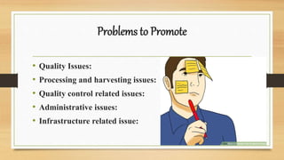 Problems to Promote
• Quality Issues:
• Processing and harvesting issues:
• Quality control related issues:
• Administrative issues:
• Infrastructure related issue:
 