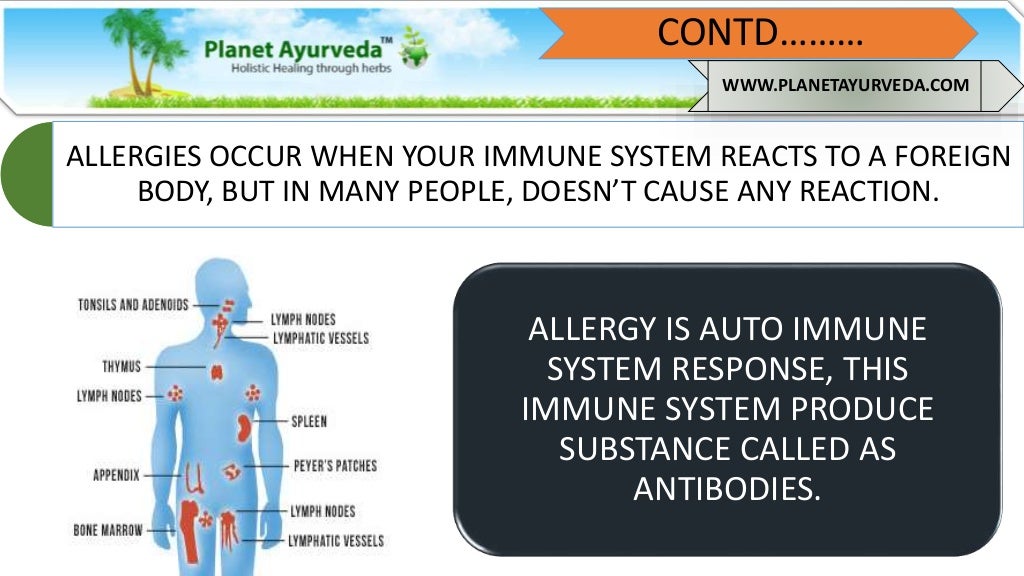 Herbal Remedies For Allergy Relief Best Treatment in Ayurveda